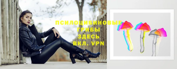 не бодяженный Богородицк