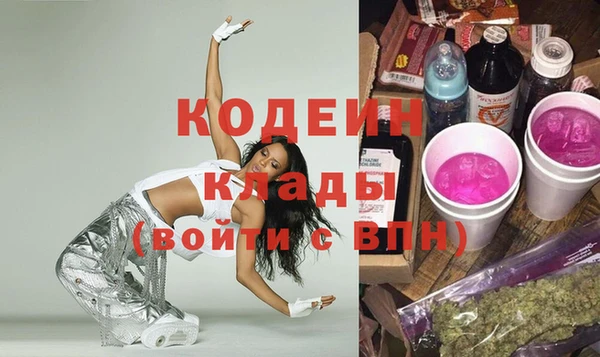 амф Грязовец