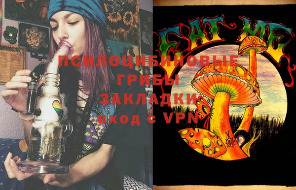 a pvp Богданович